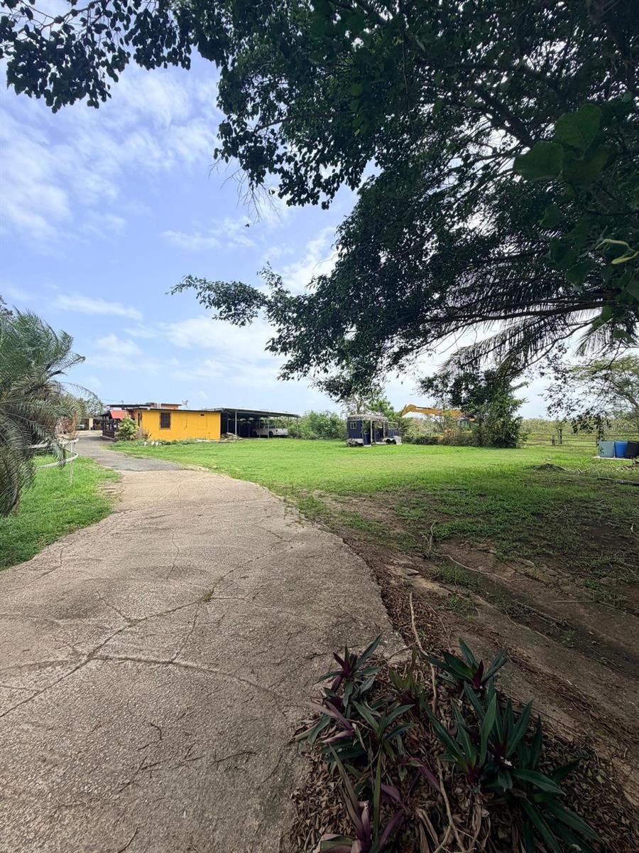 Carr 690 Km 3.2 Bo Sabana Hoyos Property Photo 16