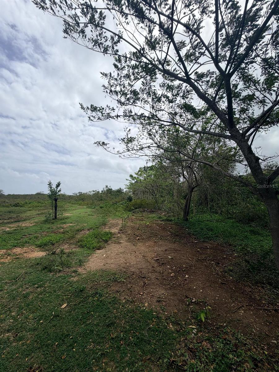 Carr 690 Km 3.2 Bo Sabana Hoyos Property Photo 17