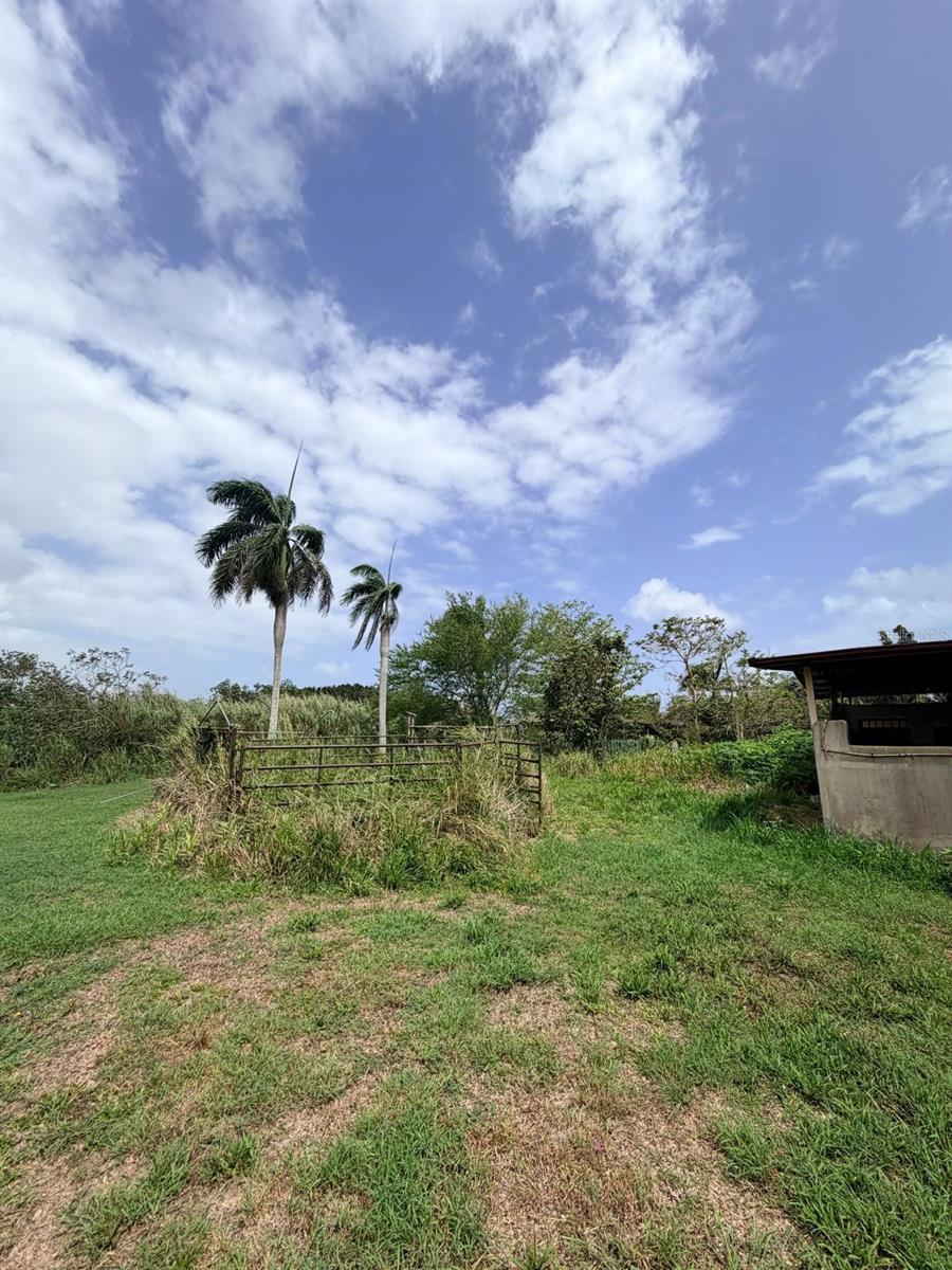 Carr 690 Km 3.2 Bo Sabana Hoyos Property Photo 19