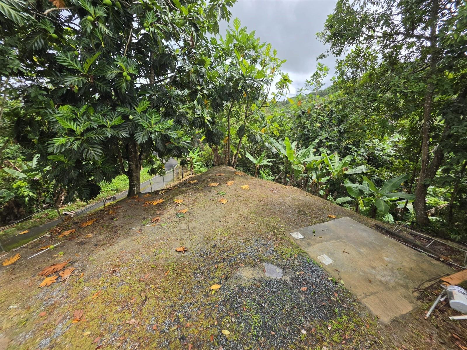 Pr 9920 Quebrada Arenas Property Photo 4