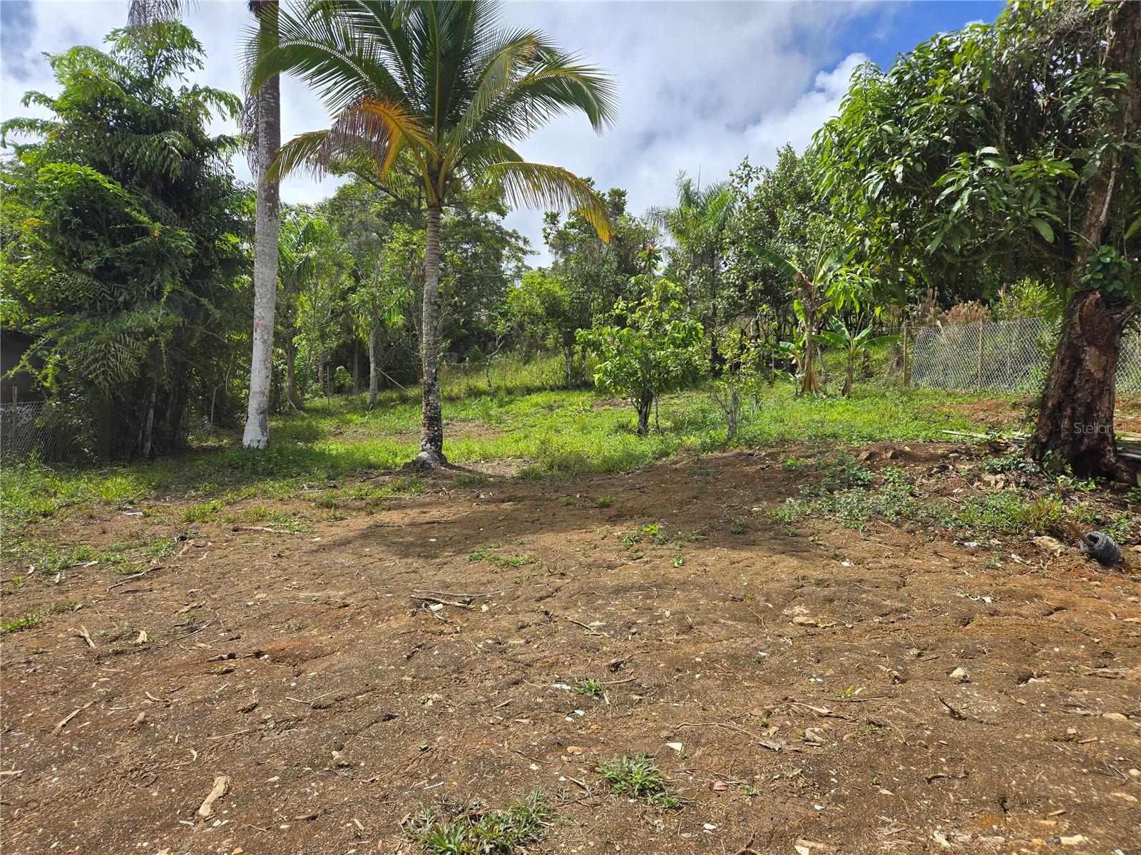 PR9123496 Property Photo 3