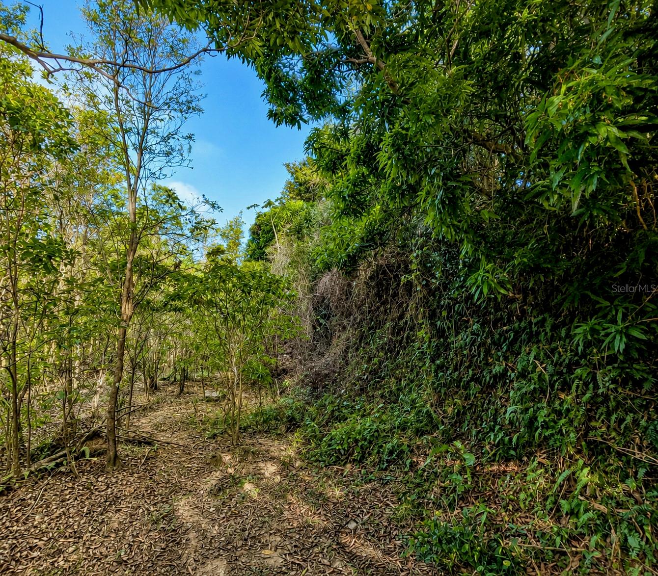 Pr-982 Km 2.3 Property Photo 7