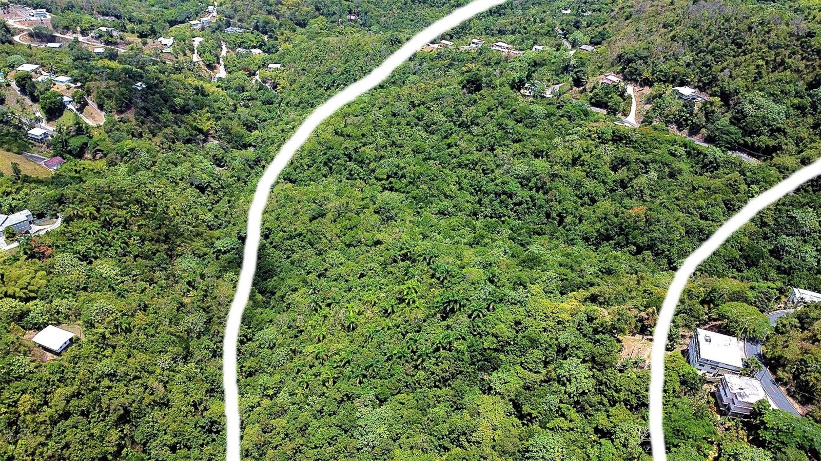 Carr 15 Km 21 Property Photo 5