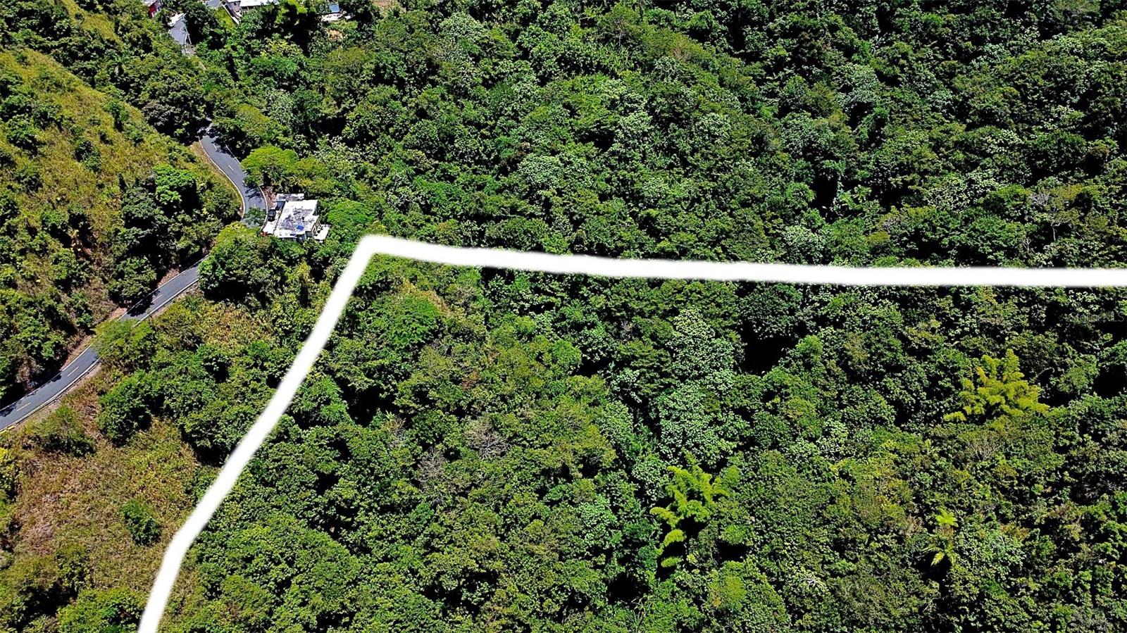 Carr 15 Km 21 Property Photo 8