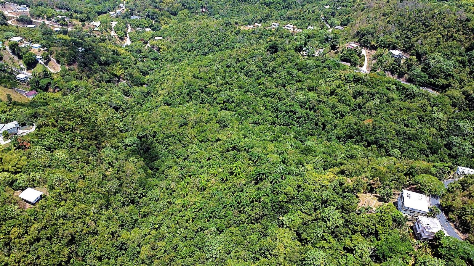 Carr 15 Km 21 Property Photo 23