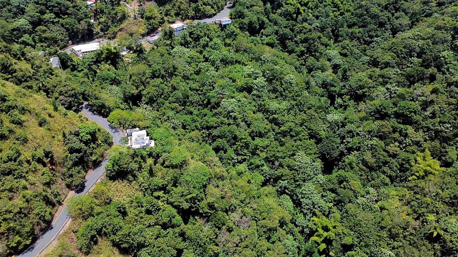 Carr 15 Km 21 Property Photo 25