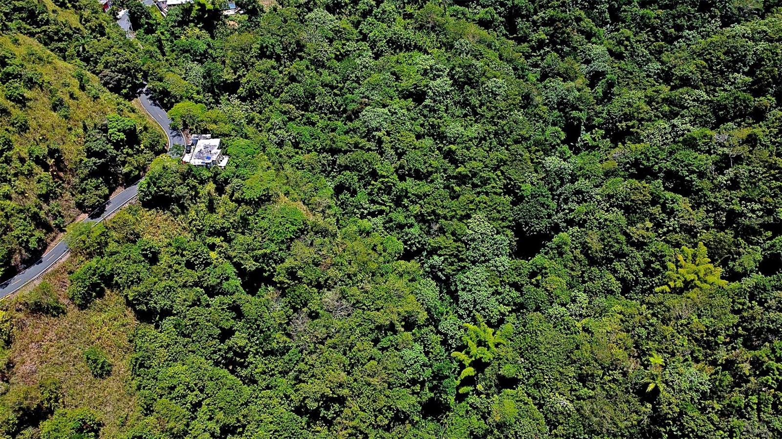 Carr 15 Km 21 Property Photo 27