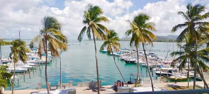 Tower 1 Isleta Marina #3j Property Photo 9