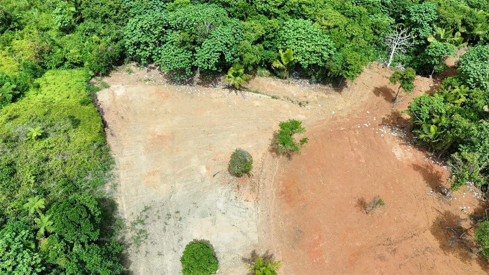 Pr 770 Km 2.9 Parcela 3 Palo Hincado Property Photo 7
