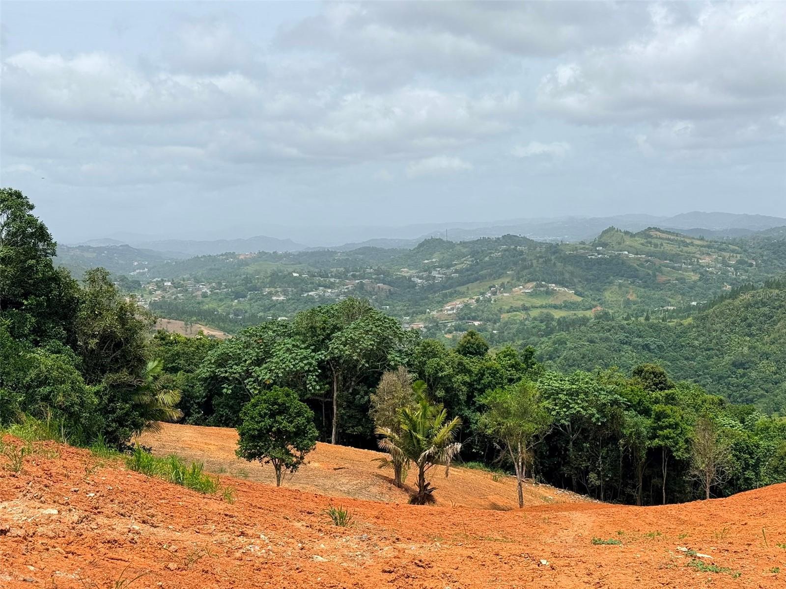 Pr 770 Km 2.9 Parcela 3 Palo Hincado Property Photo 8