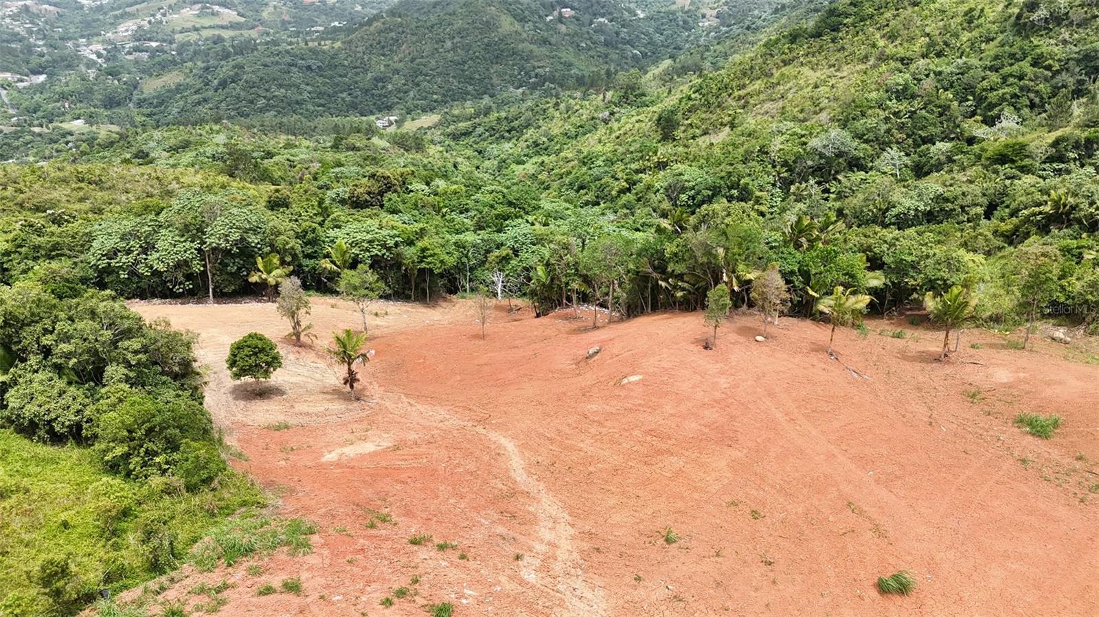 Pr 770 Km 2.9 Parcela 3 Palo Hincado Property Photo 9
