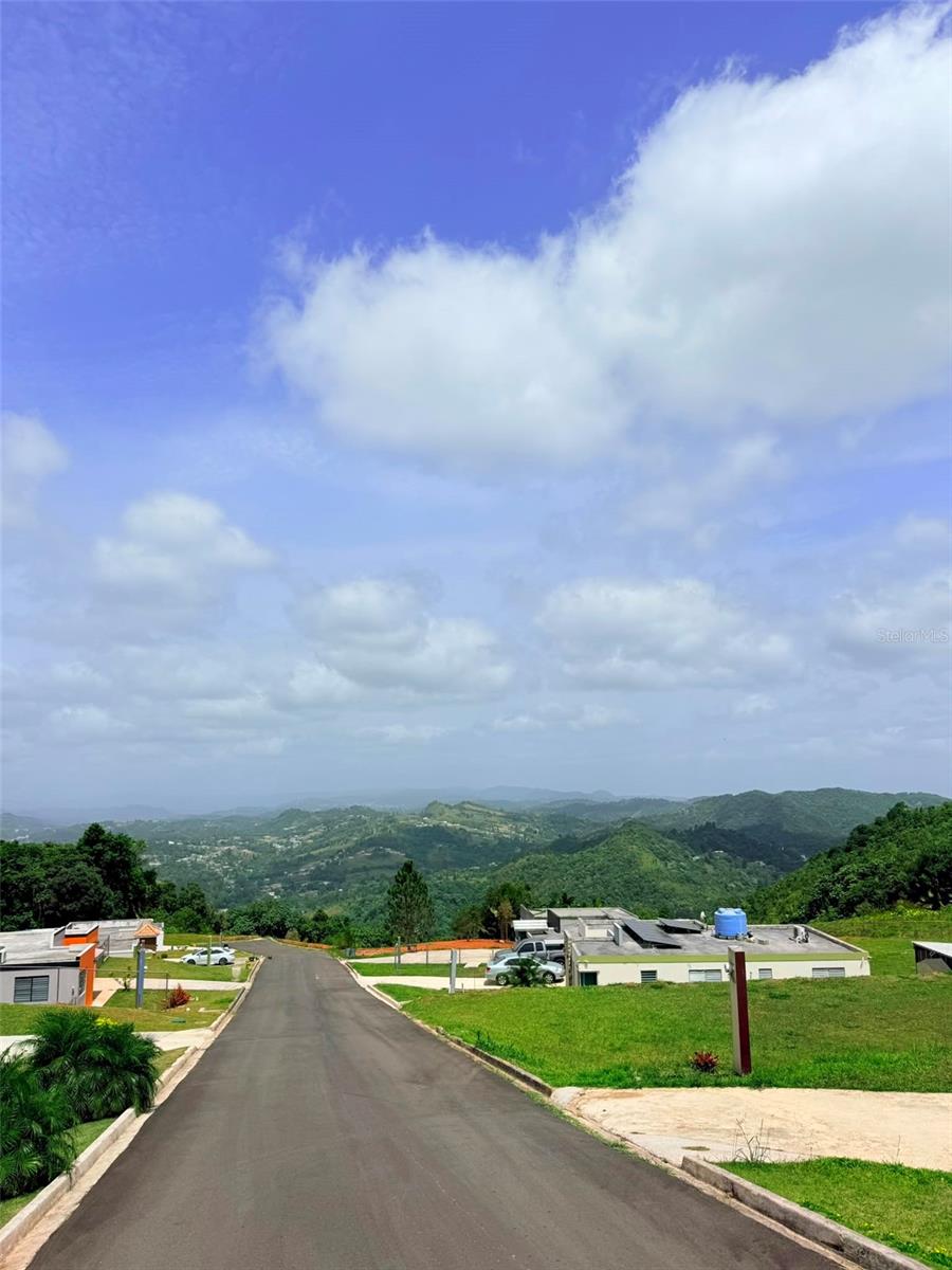 Pr 770 Km 2.9 Parcela 3 Palo Hincado Property Photo 10
