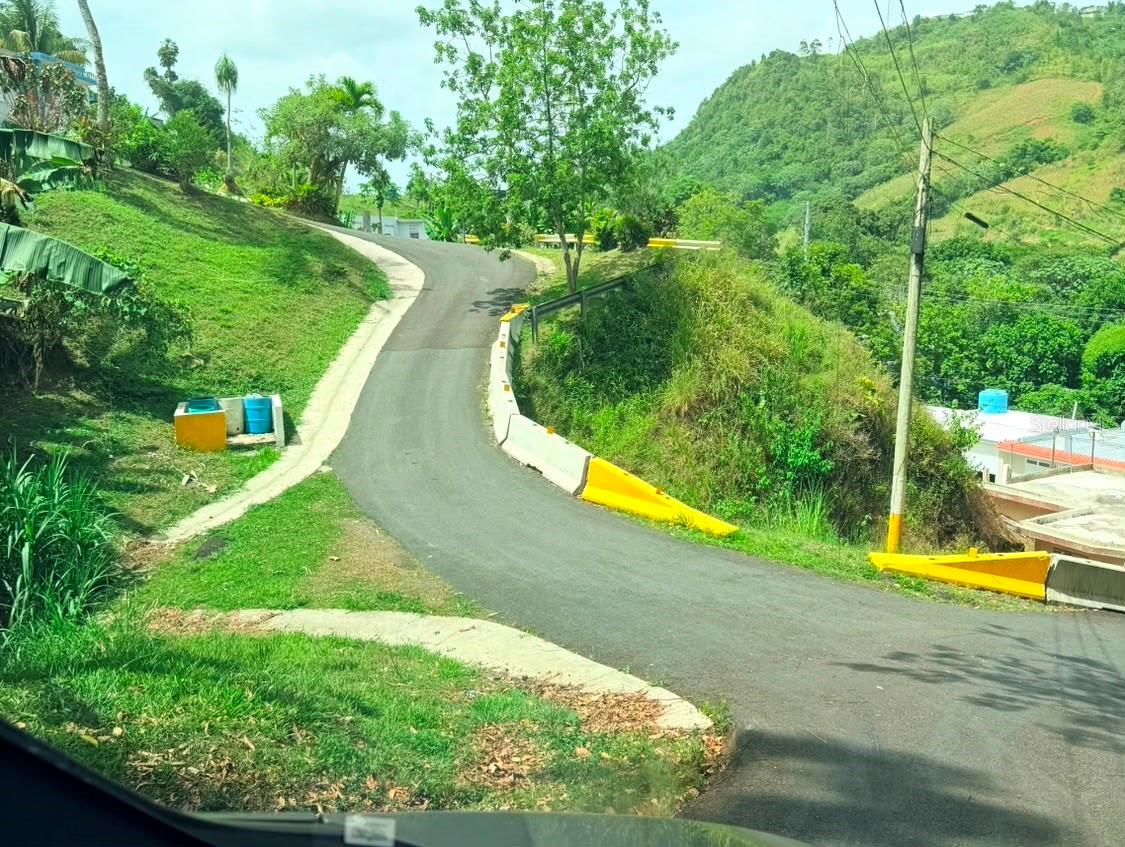 Pr 770 Km 2.9 Parcela 3 Palo Hincado Property Photo 11