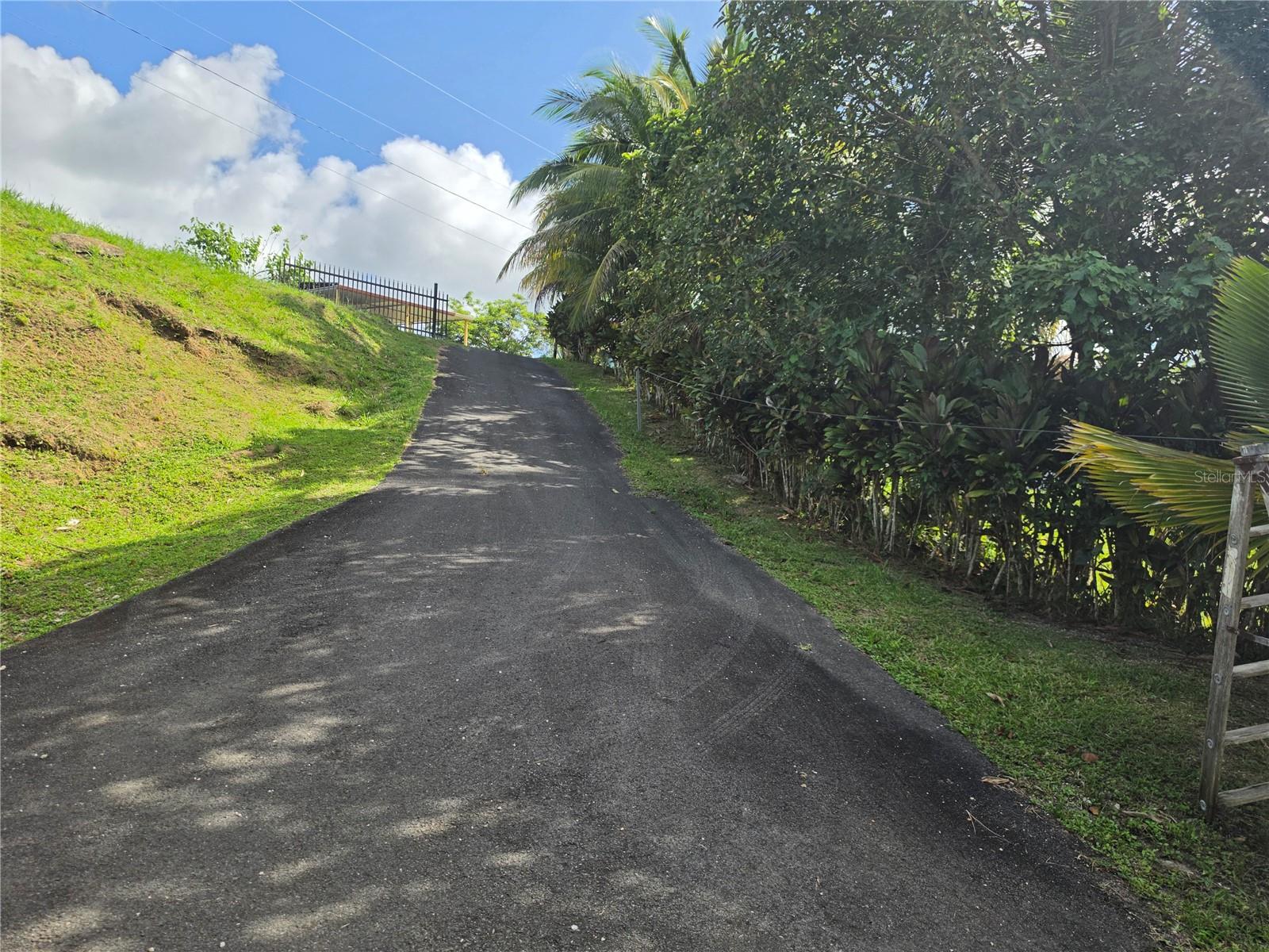 Pr 900 Bo Guayabota Property Photo 2