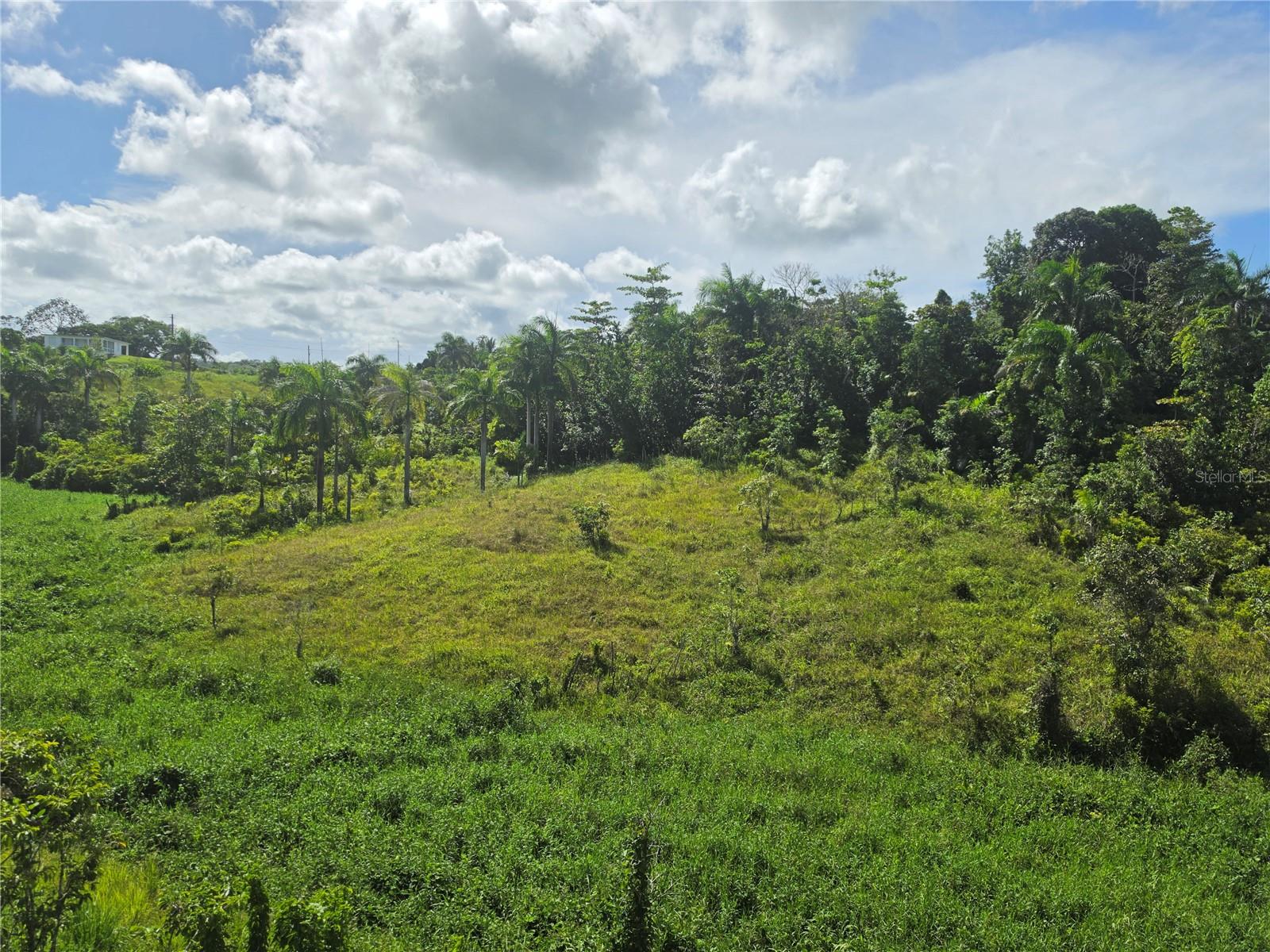 Pr 900 Bo Guayabota Property Photo 3