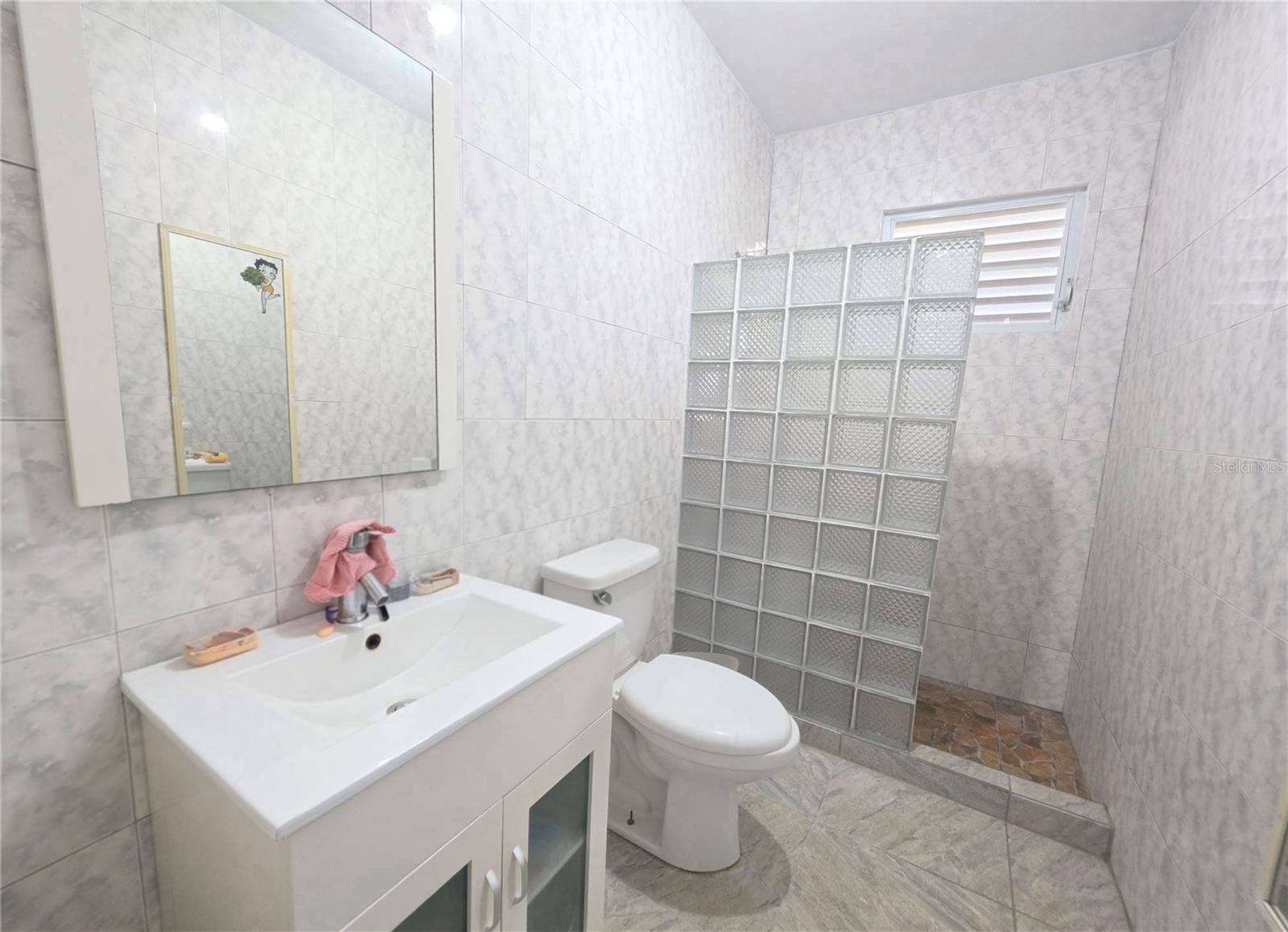 Pr 900 Bo Guayabota Property Photo 5