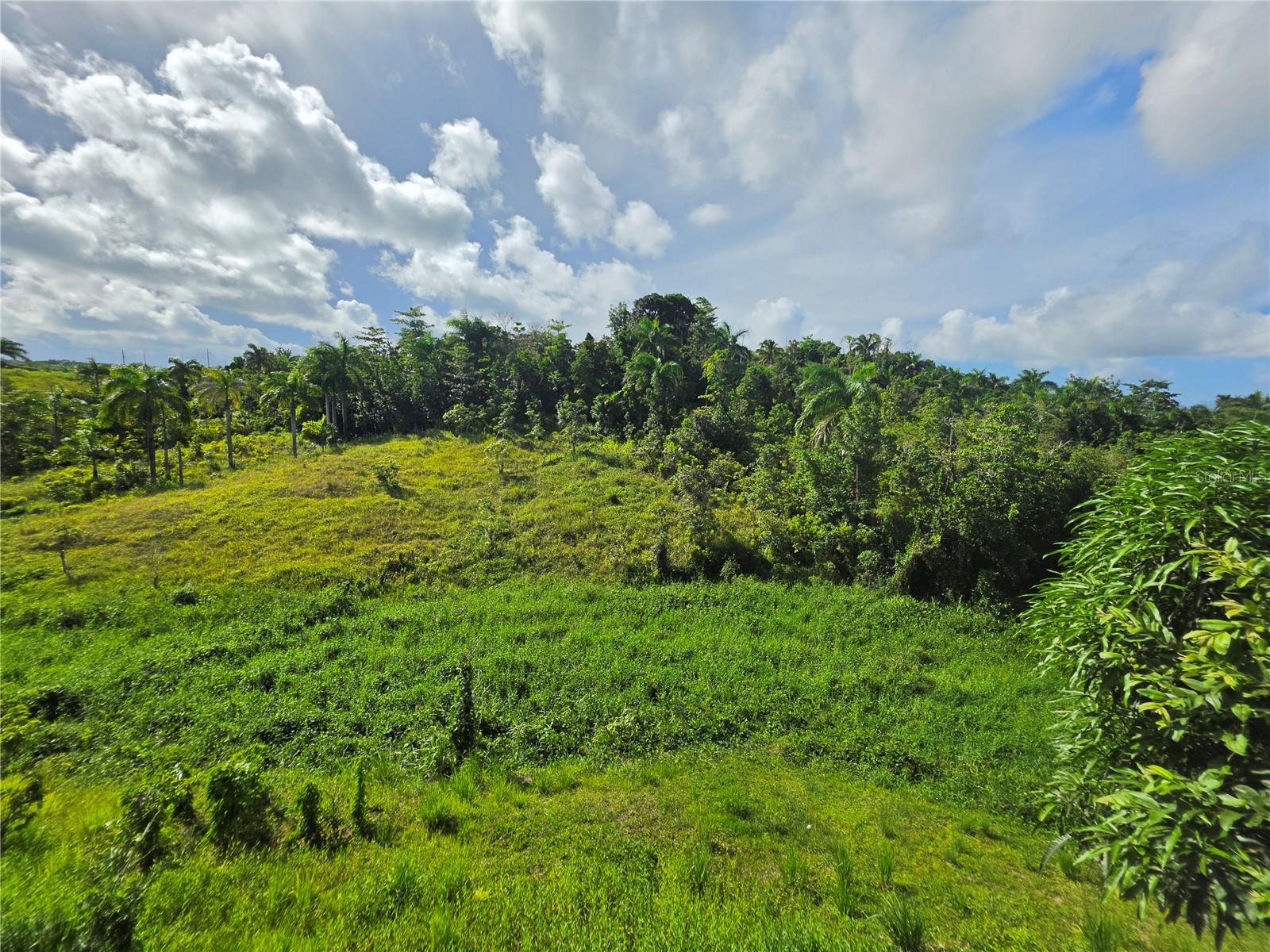 Pr 900 Bo Guayabota Property Photo 10