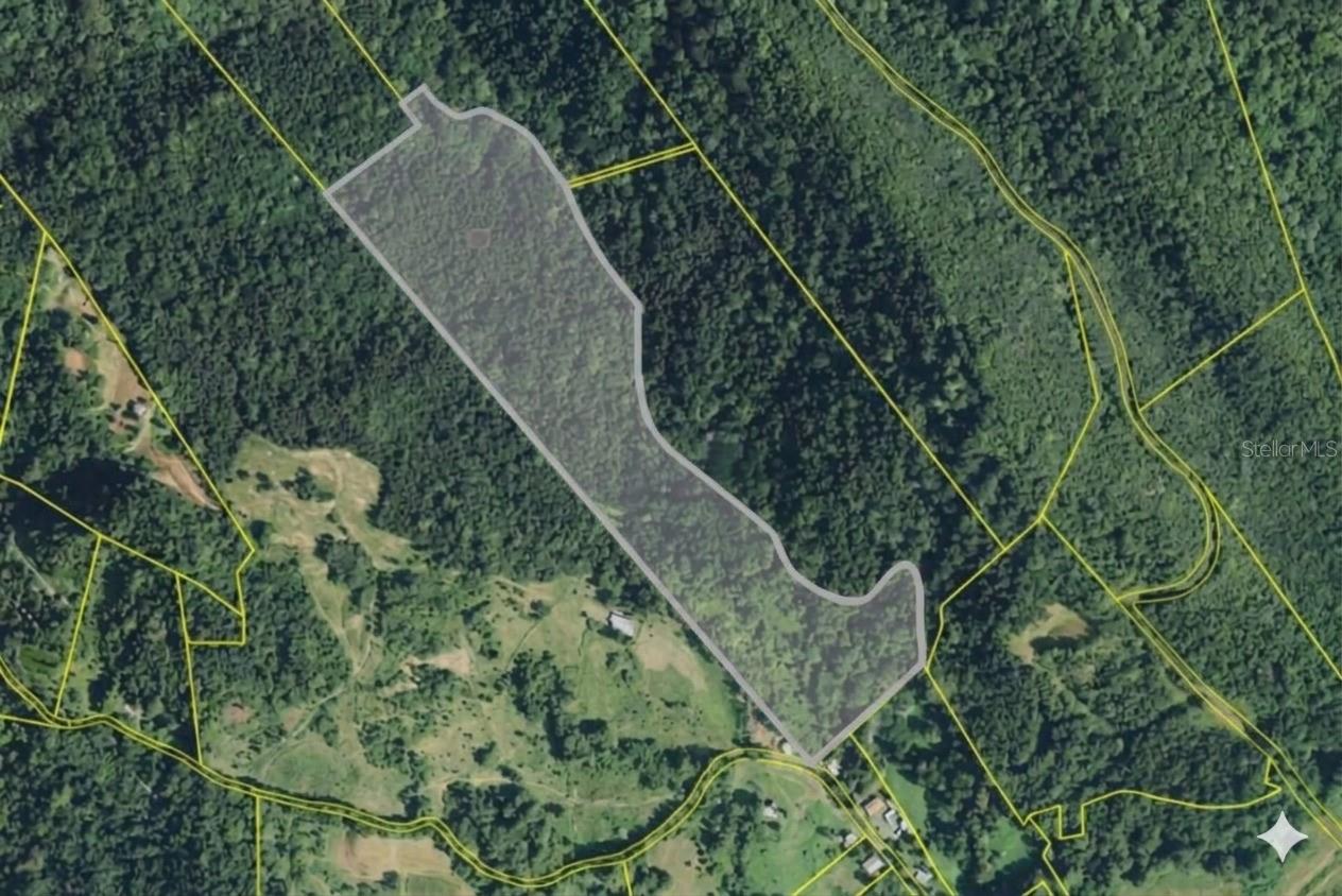 Bo. Río Arriba Property Photo 1