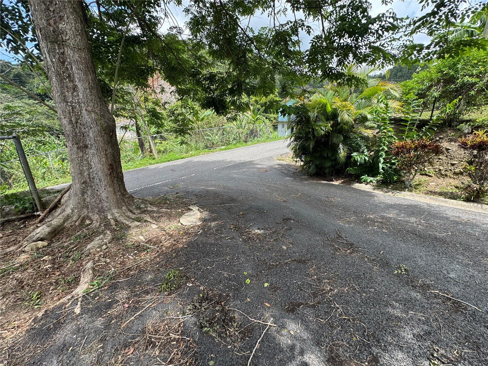 131 Guilarte Property Photo 10
