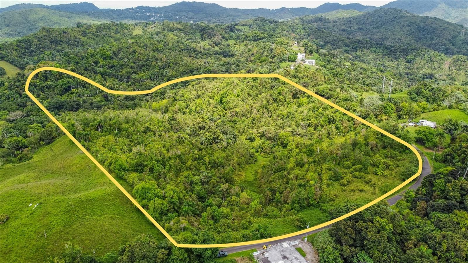 PR9123701 Property Photo 3
