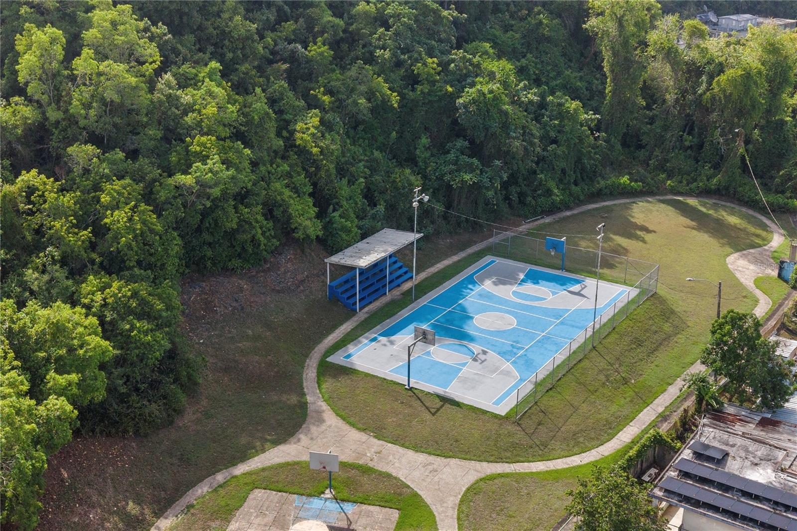 6 No C49 Valles De Manati Property Photo 19