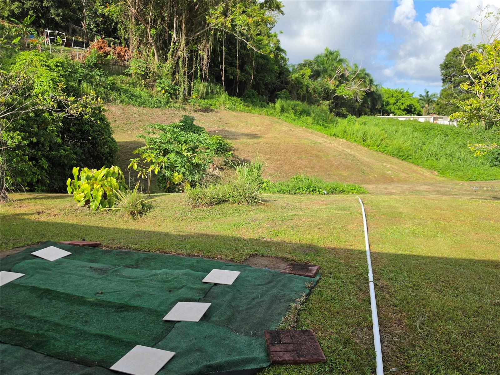 26 Rey Fernando Property Photo 5