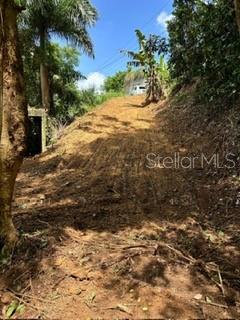 Rd 942 Property Photo 3