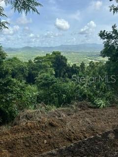 Rd 942 Property Photo 5