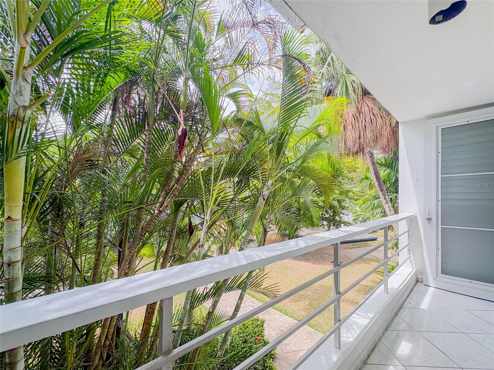 595 Cll Maximo Gomez #g115 Property Photo 16