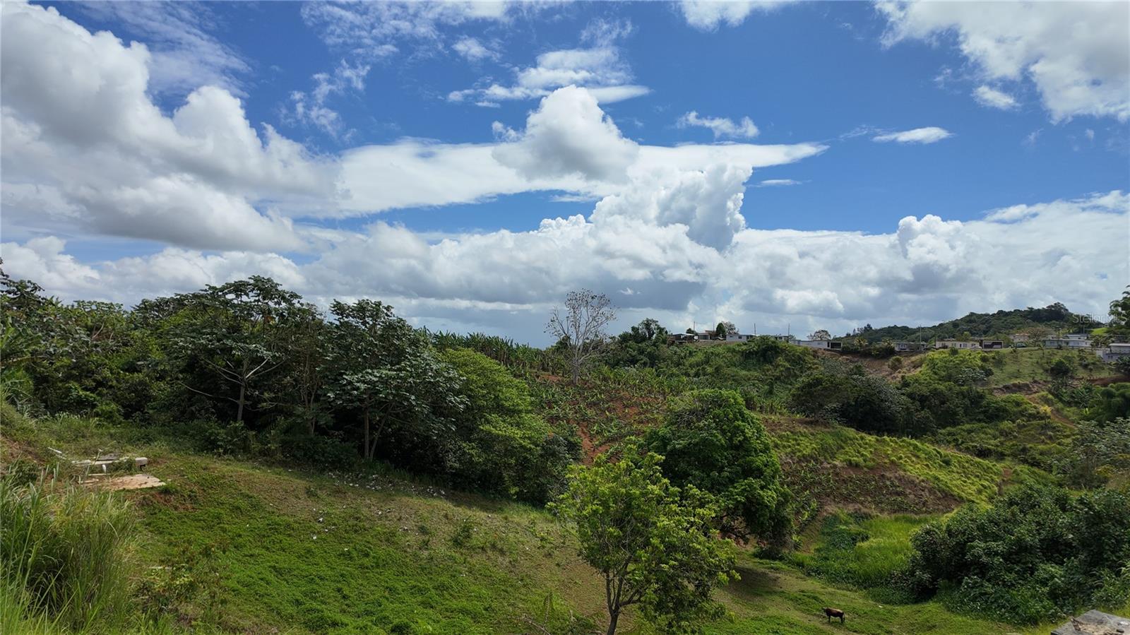 Carr 155 Km 35.5 Bo. Perchas Property Photo 5