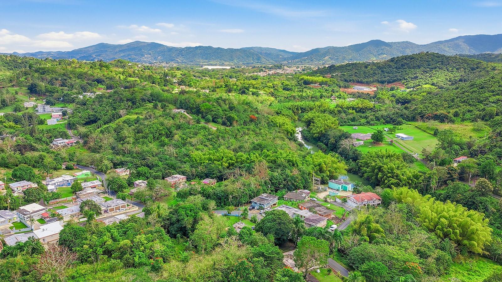 4 Barrio Rincon Property Photo 5
