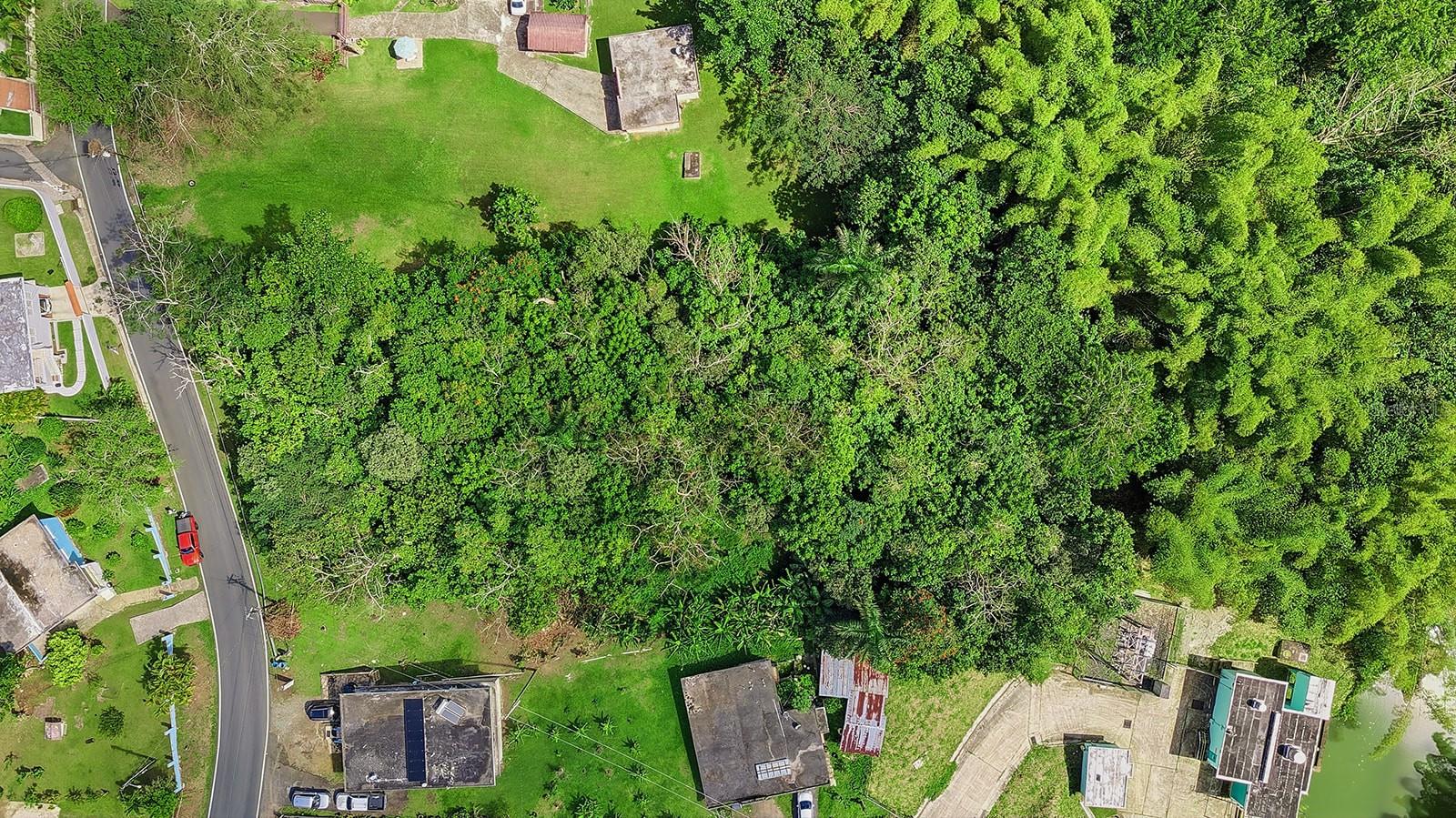 4 Barrio Rincon Property Photo 7