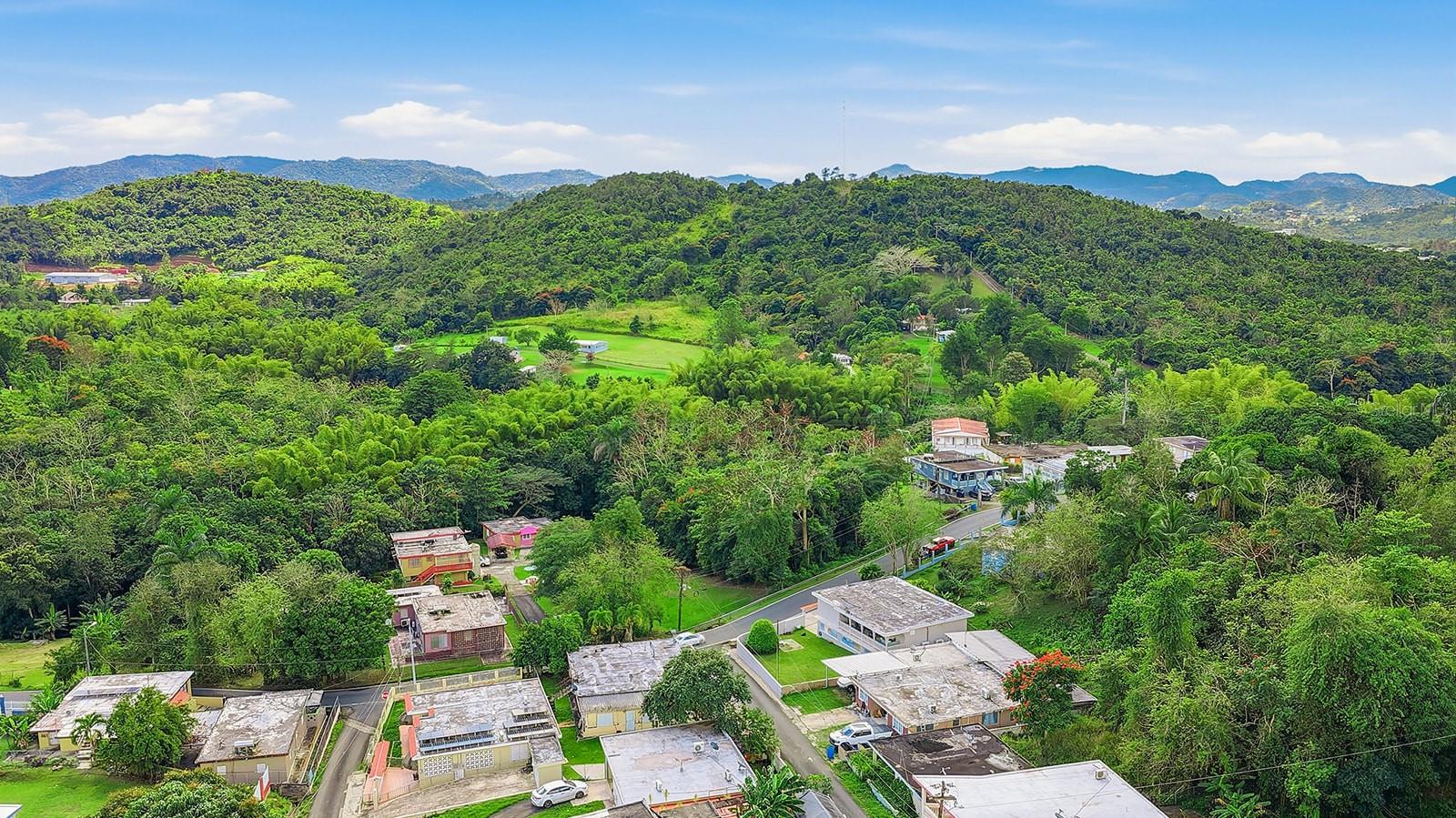 4 Barrio Rincon Property Photo 9