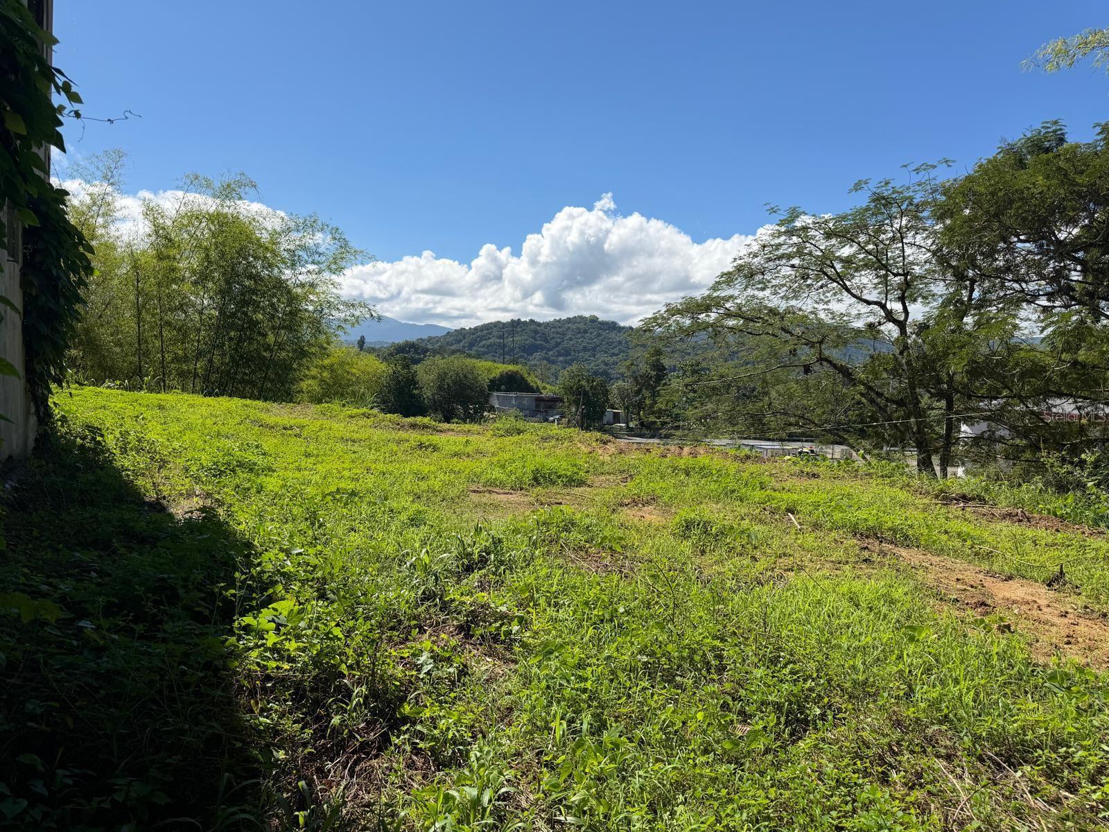 Carr 10 Km 43.3 Bo Salto Abajo, Sector Greaulau Property Photo 9