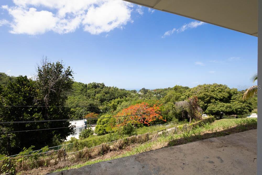 Carr. 412 Km. 2.6 Int Bo. Cruces Property Photo 29
