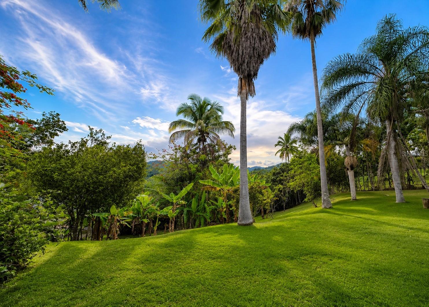 Carr 7787 Sector Valle Verde #solar 2 Property Photo 5