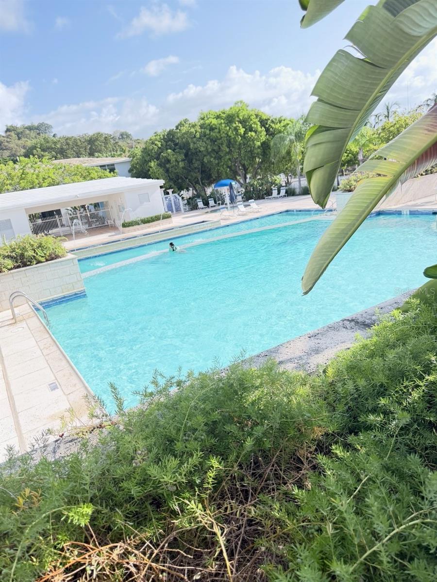 9987 The Ocean Club At Seven Seas #ec 202 Property Photo 10