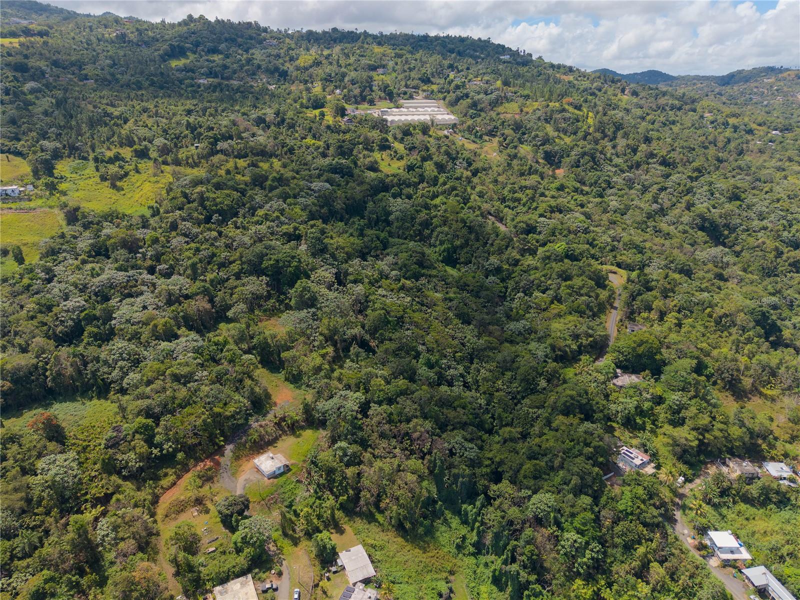 Barrio Cubuy Property Photo 4
