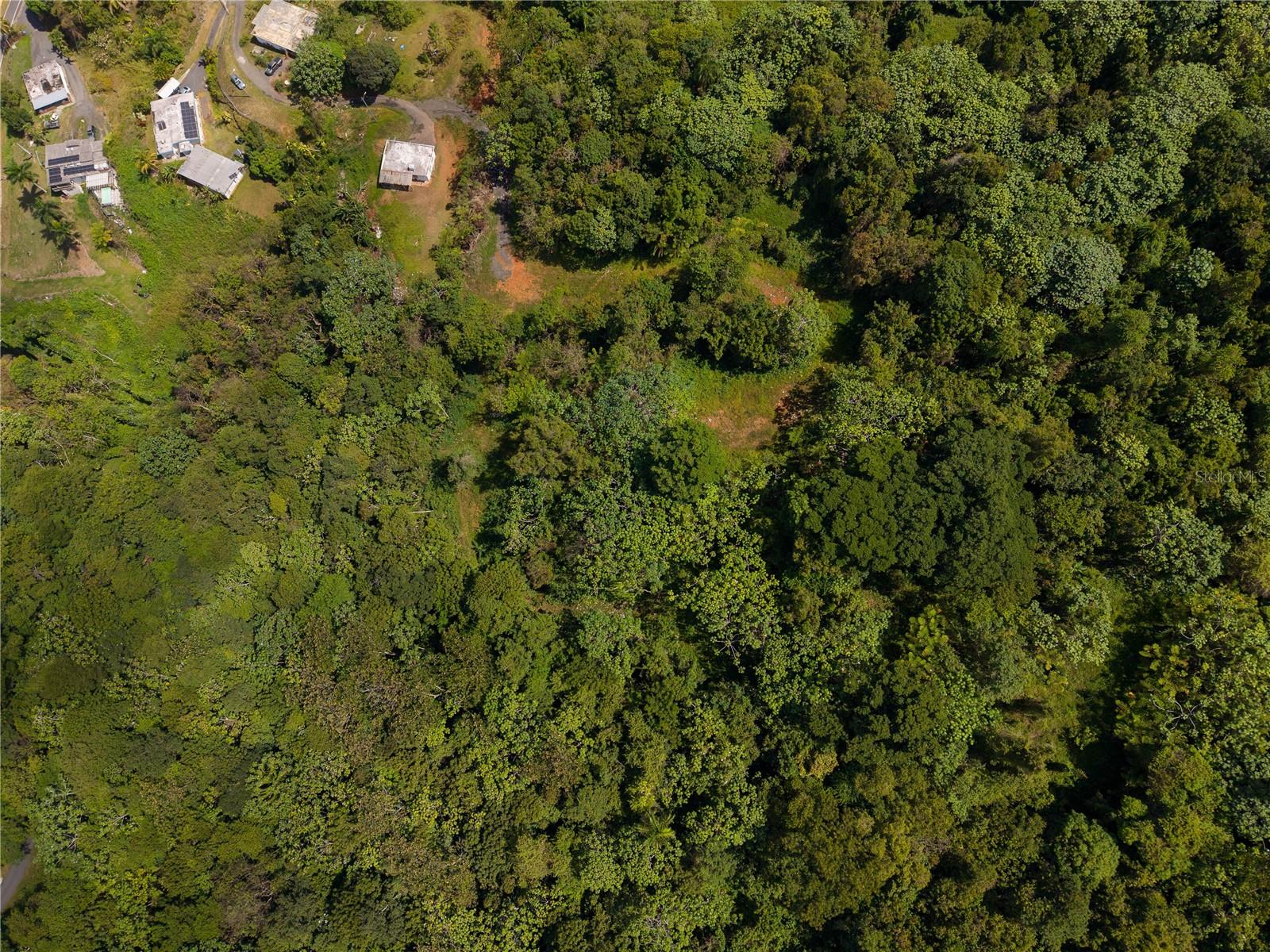 Barrio Cubuy Property Photo 19