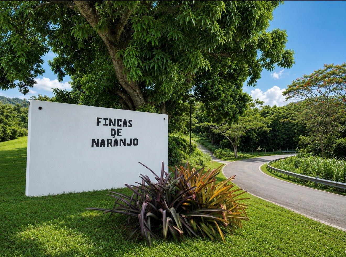 982 Fincas De Naranjo Property Photo 9