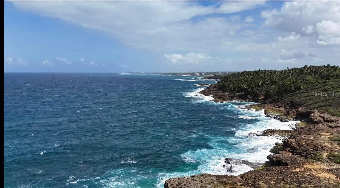 Calle Olivine 83 Treasure Point #323 Property Photo 16