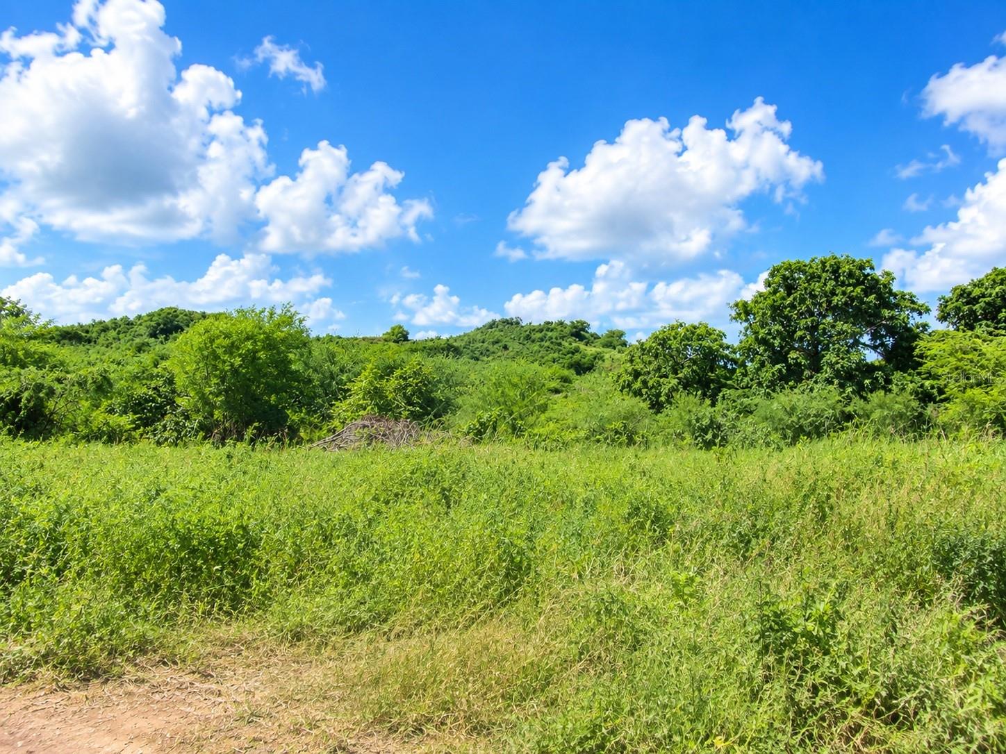Pr 77711 Property Photo 2
