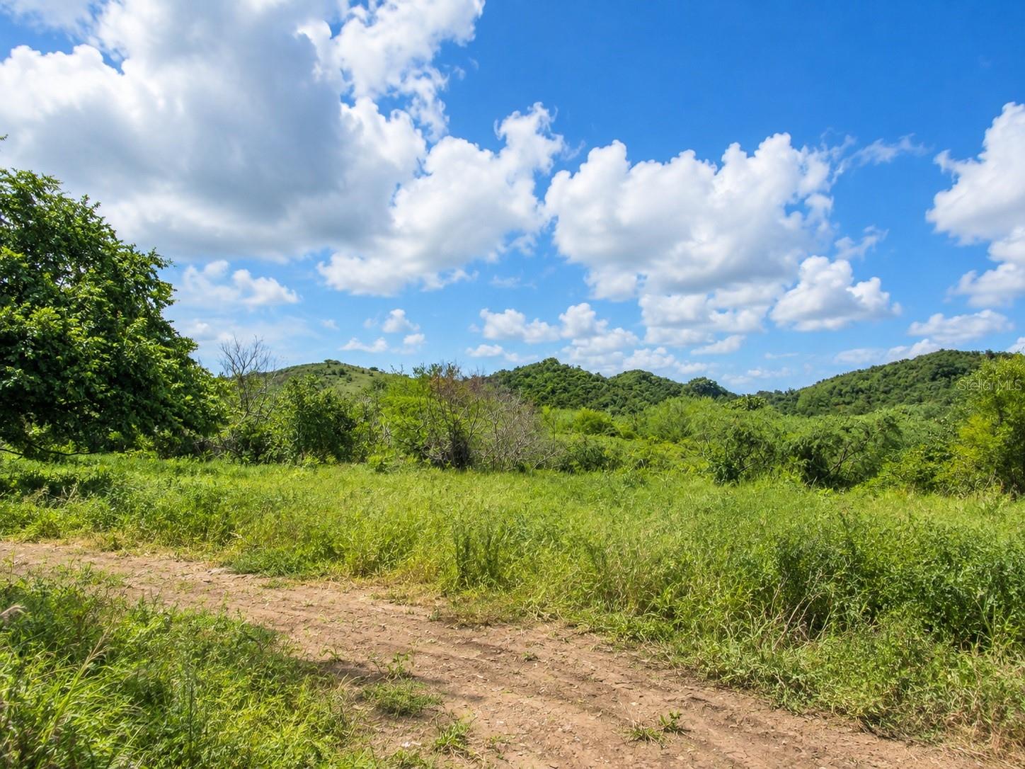 Pr 77711 Property Photo 3
