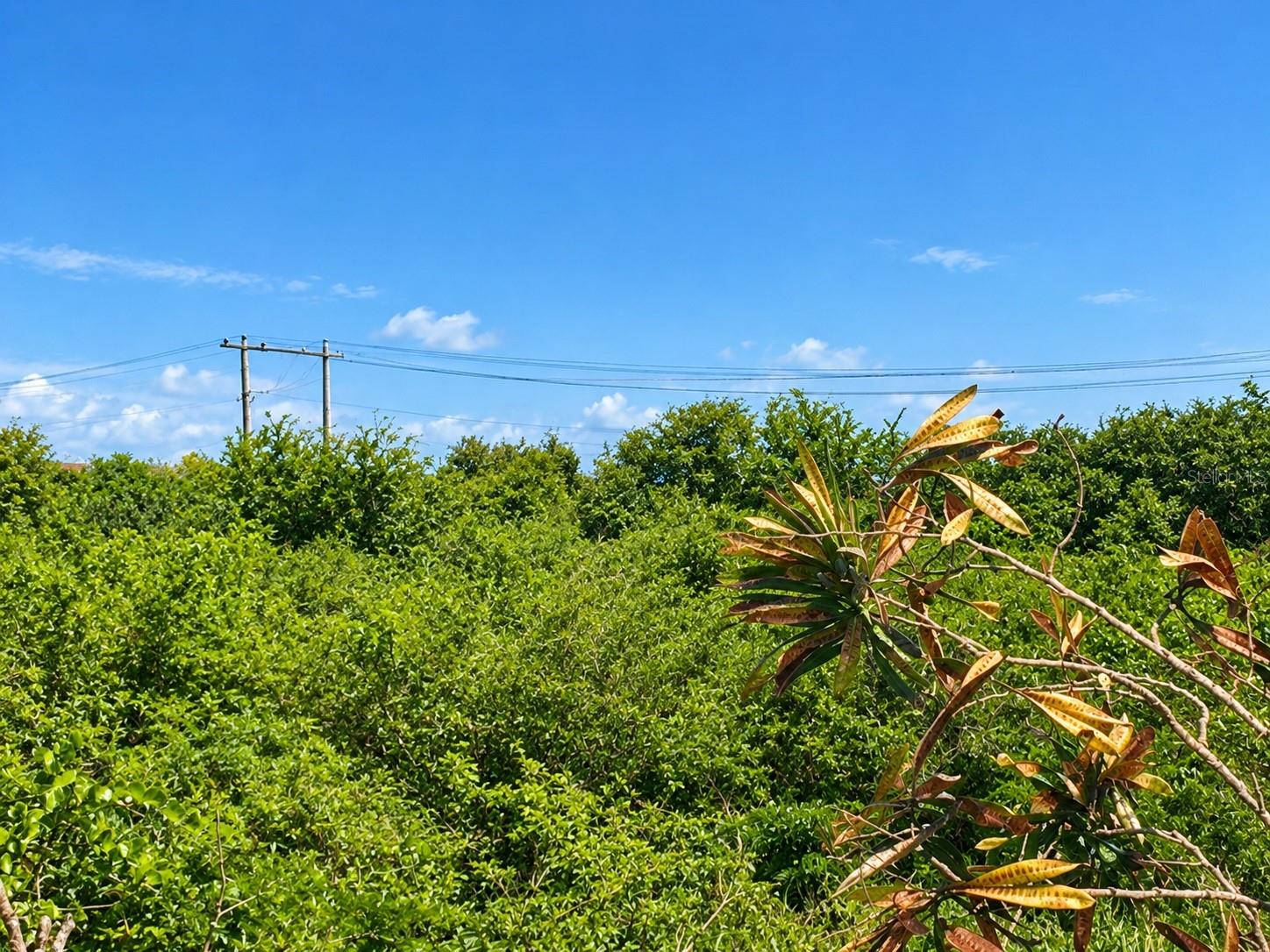 Lot 4 Pr 753 Km 0.4 Ancones Ward Property Photo 2