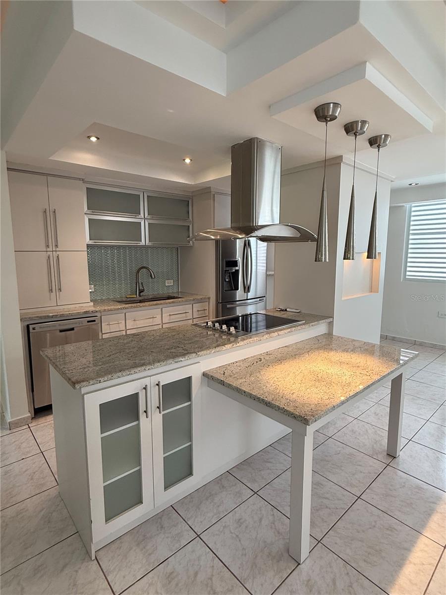Carr 417 Km 2.0 Bo. Malpaso Property Photo 6