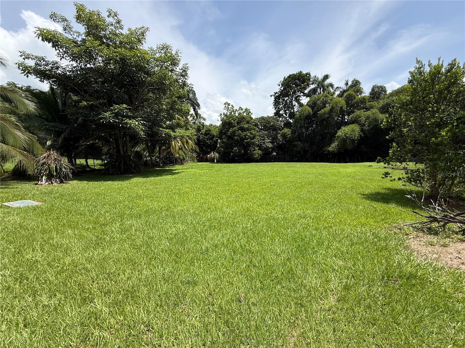 Carr 417 Km 2.0 Bo. Malpaso Property Photo 25