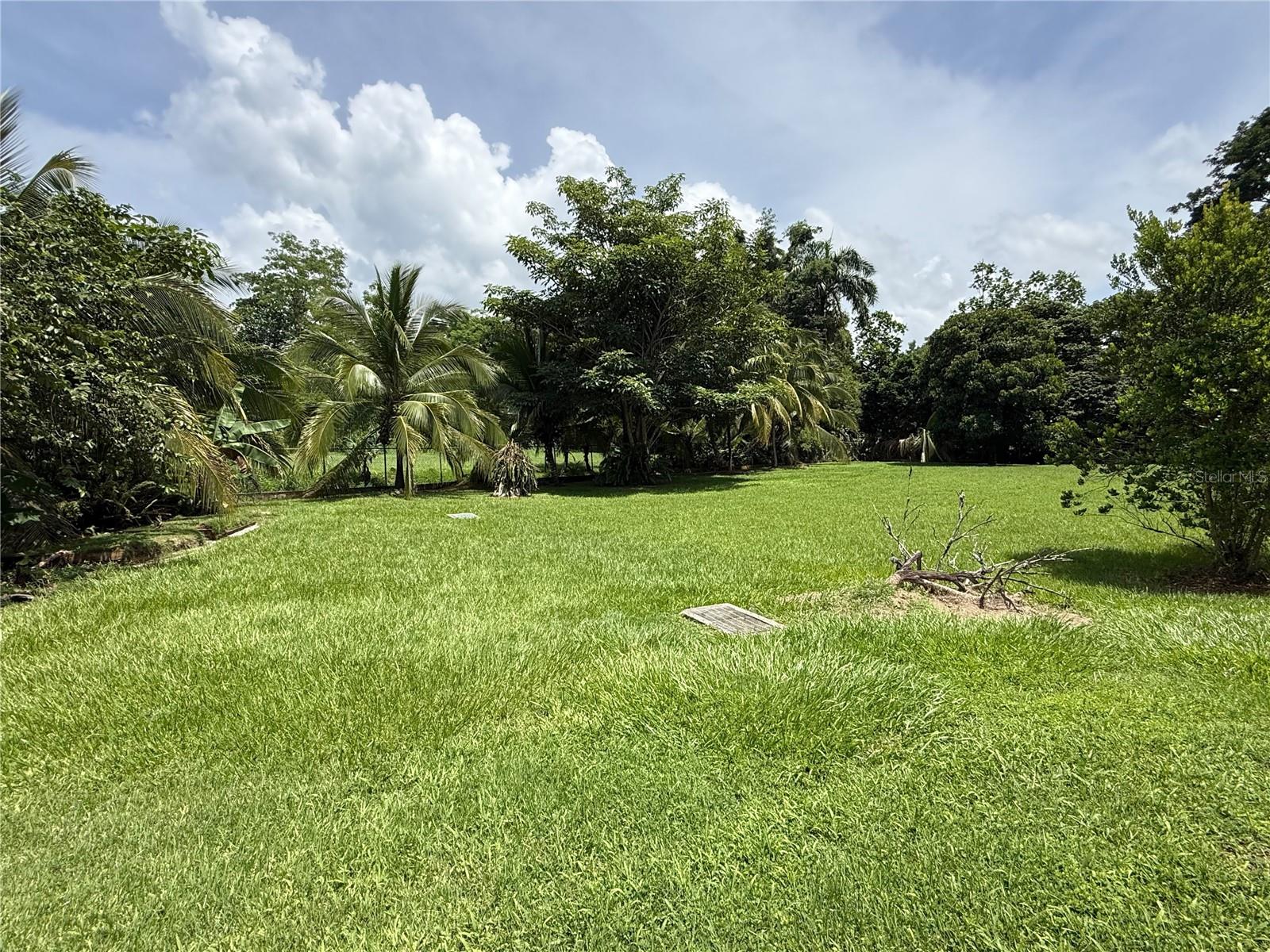 Carr 417 Km 2.0 Bo. Malpaso Property Photo 28