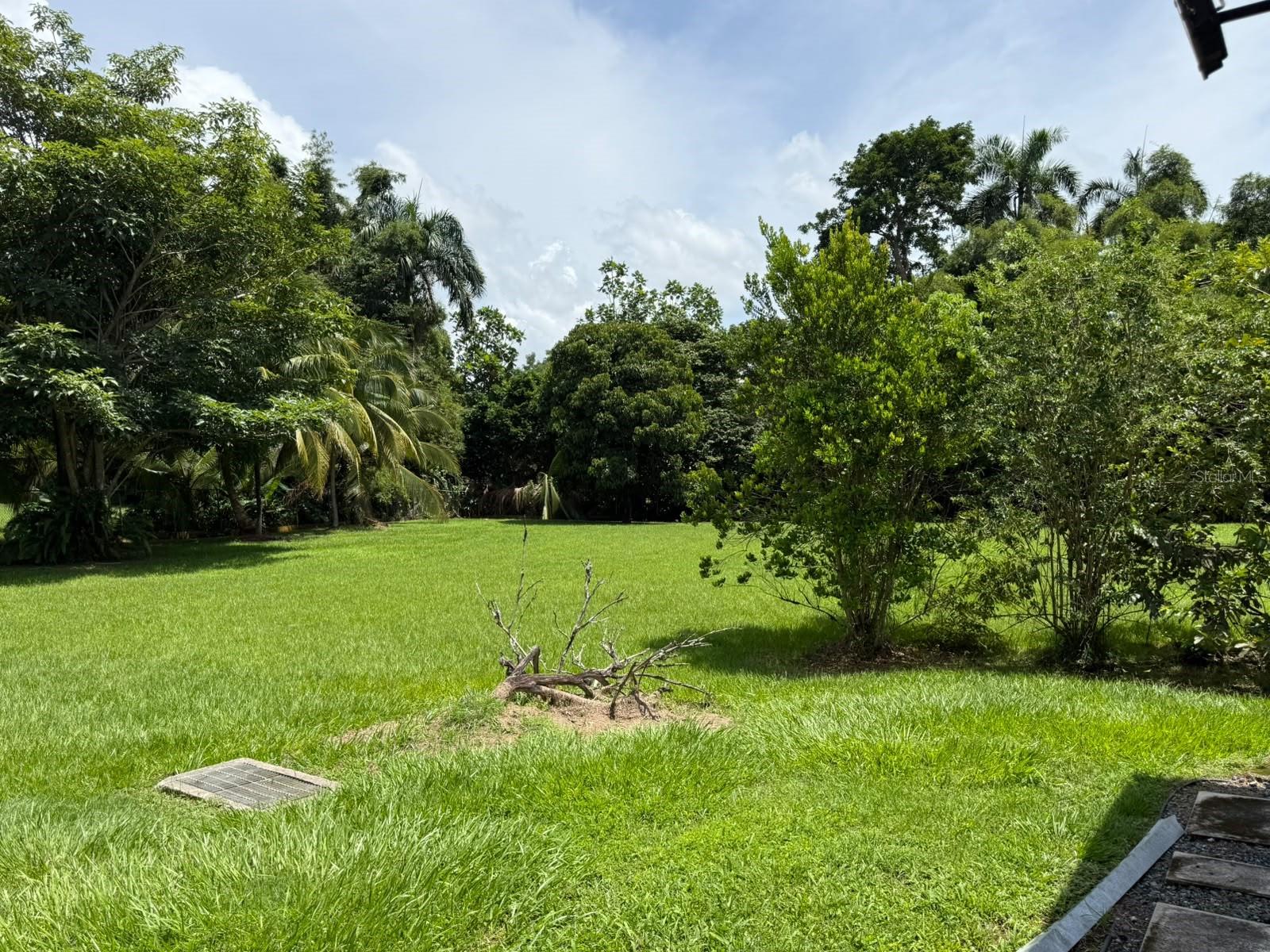Carr 417 Km 2.0 Bo. Malpaso Property Photo 33