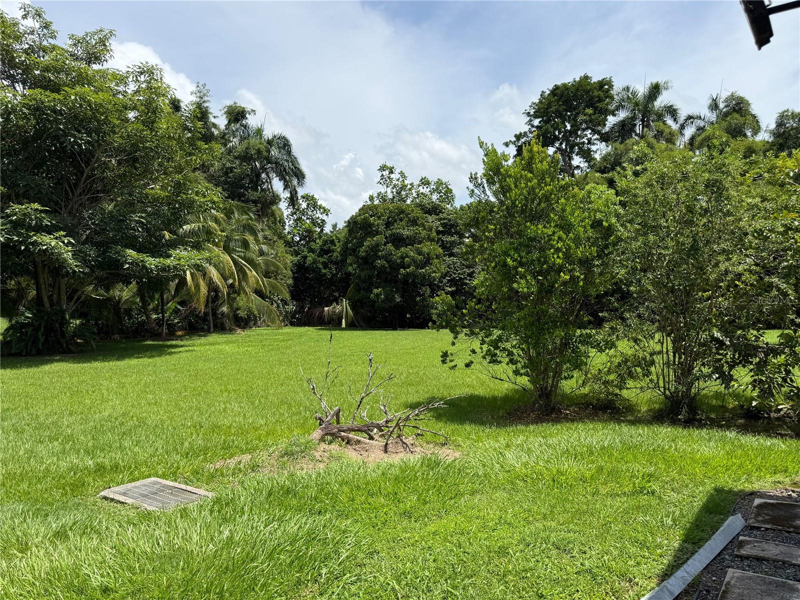 Carr 417 Km 2.0 Bo. Malpaso Property Photo 34