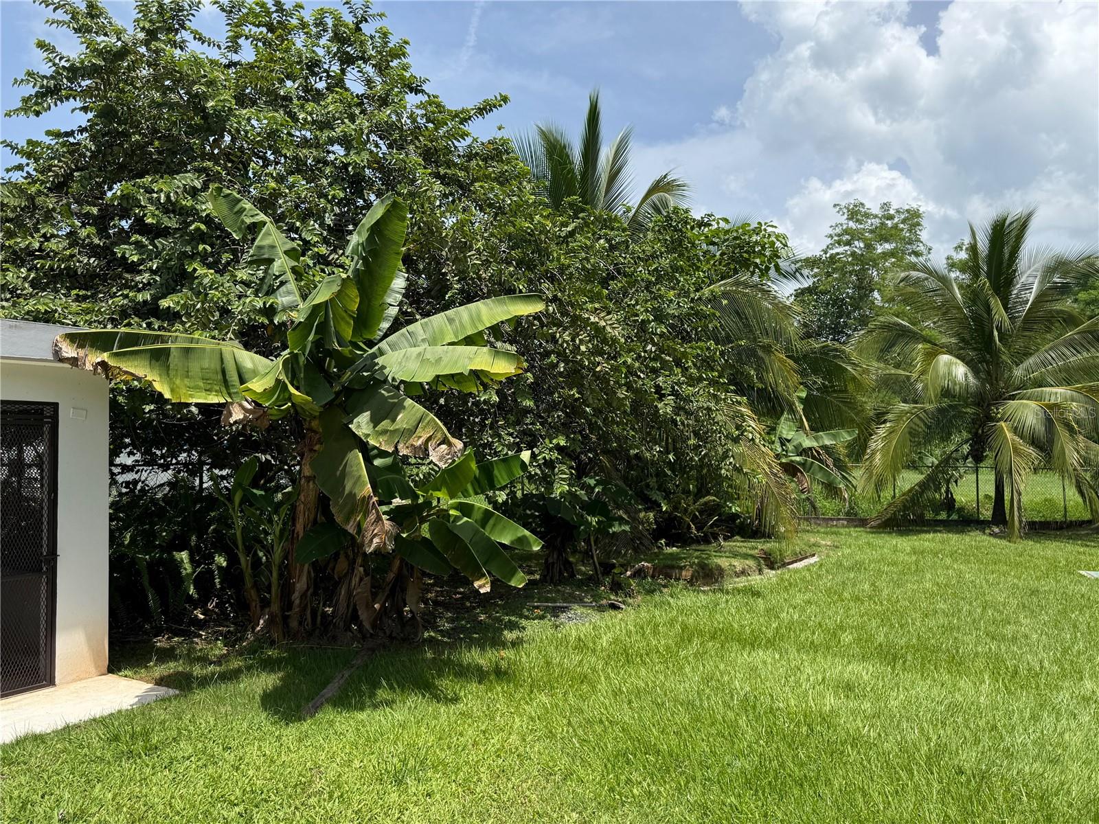 Carr 417 Km 2.0 Bo. Malpaso Property Photo 41
